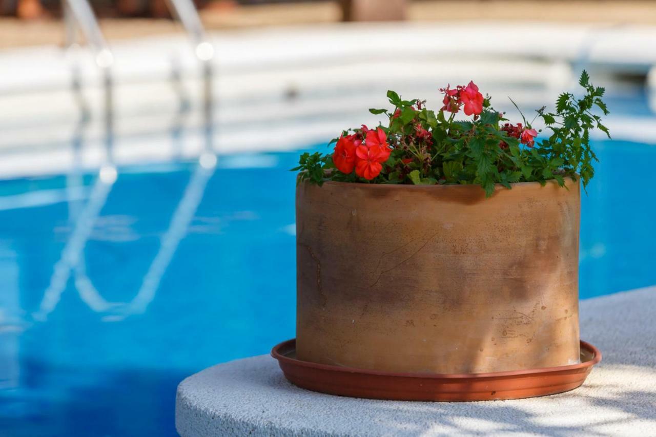 Casita Las Malvinas En Villa De Nijar Con Piscina Buitenkant foto